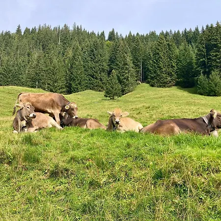 Lejlighed Bergleuchten